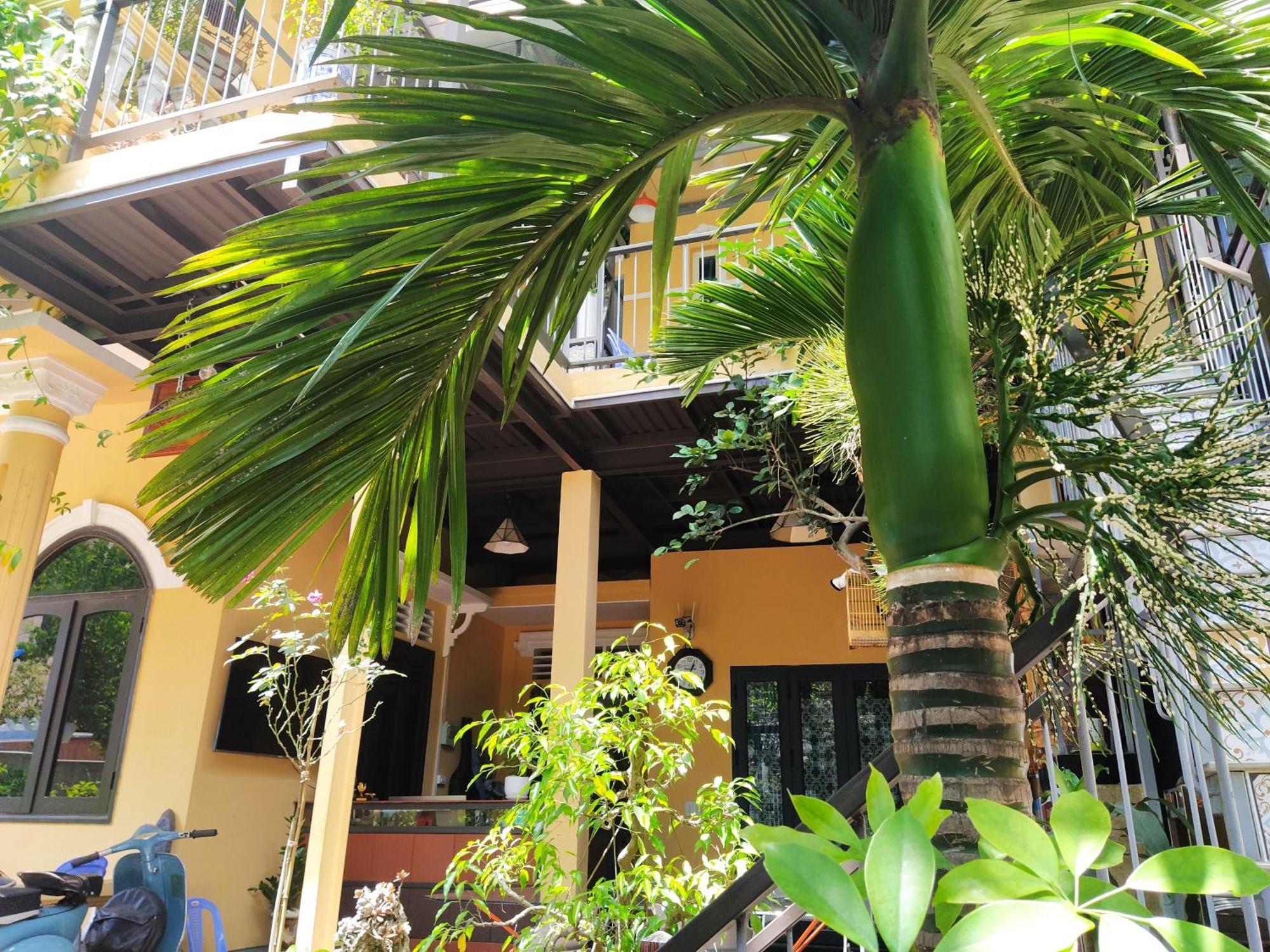 Q' Homestay Garden Villa Hue Exteriér fotografie